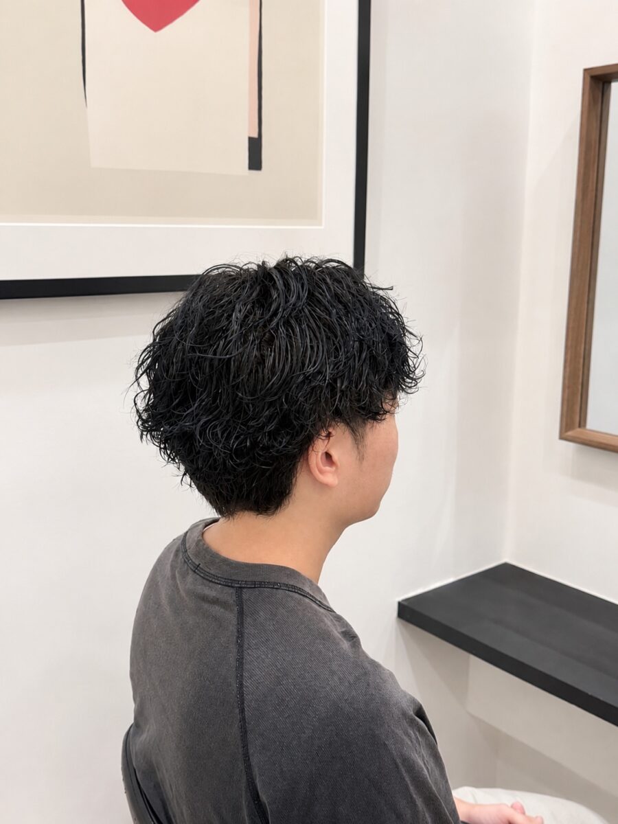 黒髪メンズのふんわりウェットパーマスタイル後ろ姿